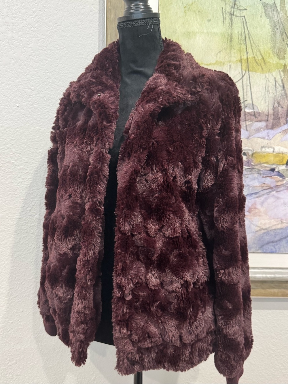 Sanctuary Plush Teddy Jacket in Burgundy